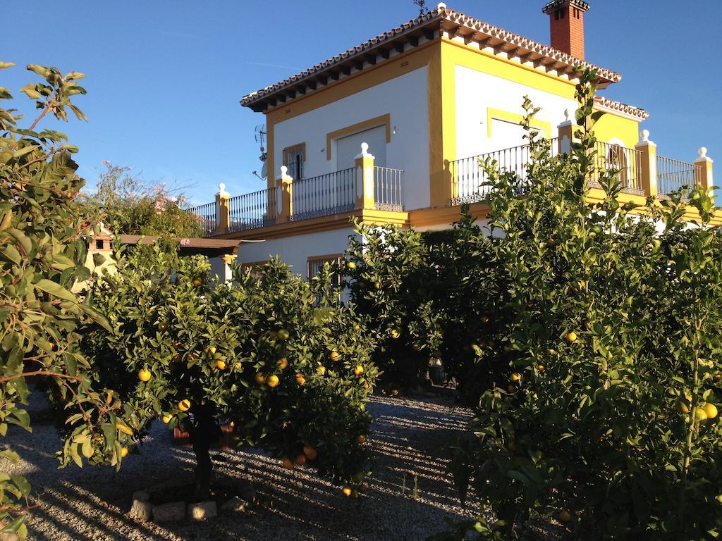 Alojamiento Colina Del Sol Torrox Exterior photo